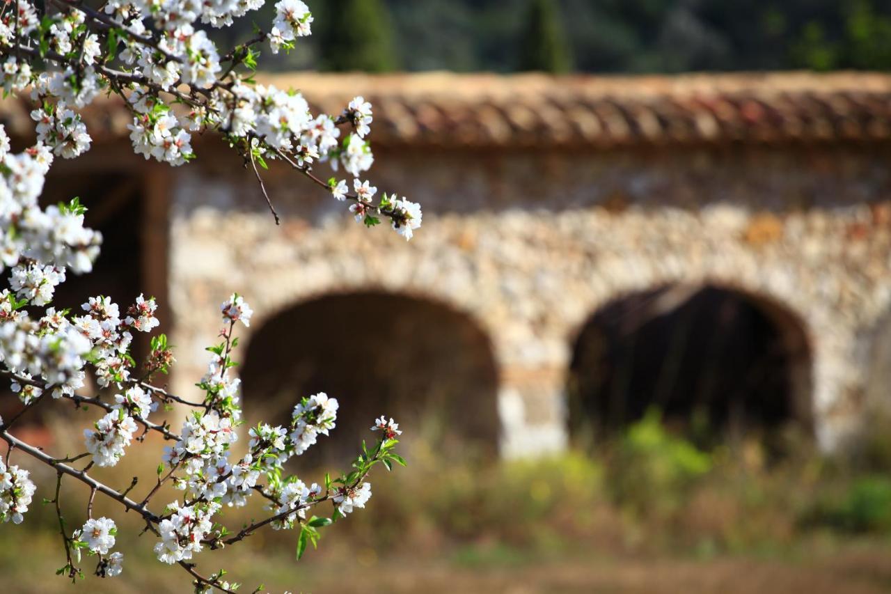 Benestar In Jalon Valley อัลคาลาลี ภายนอก รูปภาพ